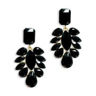 Black show stopper earrings 